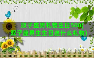 双子座男礼物生日500(双子座男生生日送什么礼物)