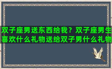 双子座男送东西给我？双子座男生喜欢什么礼物送给双子男什么礼物比较好