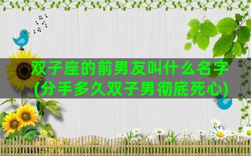 双子座的前男友叫什么名字(分手多久双子男彻底死心)