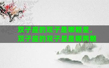 双子座的双子是哪颗星，双子座的双子星是哪两颗