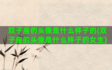 双子座的头像是什么样子的(双子座的头像是什么样子的女生)