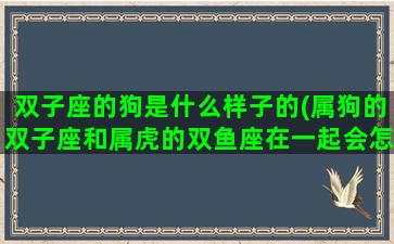 双子座的狗是什么样子的(属狗的双子座和属虎的双鱼座在一起会怎么样)