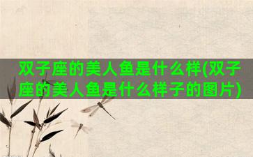 双子座的美人鱼是什么样(双子座的美人鱼是什么样子的图片)