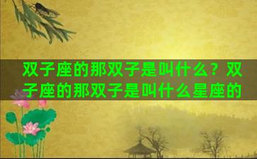 双子座的那双子是叫什么？双子座的那双子是叫什么星座的