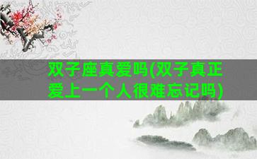 双子座真爱吗(双子真正爱上一个人很难忘记吗)