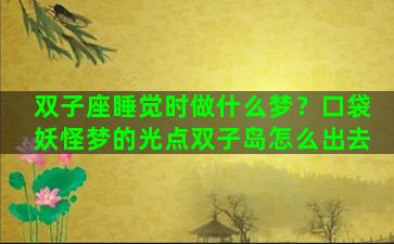 双子座睡觉时做什么梦？口袋妖怪梦的光点双子岛怎么出去
