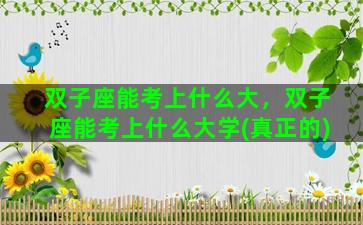 双子座能考上什么大，双子座能考上什么大学(真正的)