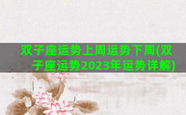 双子座运势上周运势下周(双子座运势2023年运势详解)