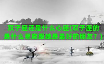 双子座还是什么心座(双子座的是什么星座跟她是最好的朋友？)