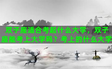 双子座适合考起什么大学，双子座能考上大学吗？考上的什么大学