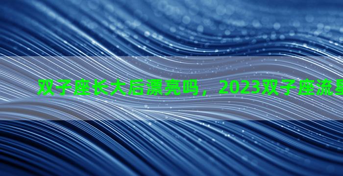 双子座长大后漂亮吗，2023双子座流星雨最好看