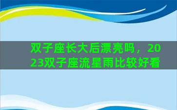 双子座长大后漂亮吗，2023双子座流星雨比较好看