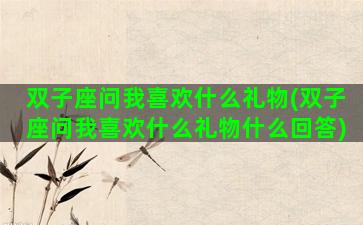 双子座问我喜欢什么礼物(双子座问我喜欢什么礼物什么回答)