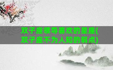 双子座领导喜欢的星座(双子座不为人知的弱点)