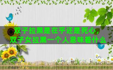 双子拉黑是在乎还是死心，双子女拉黑一个人意味着什么