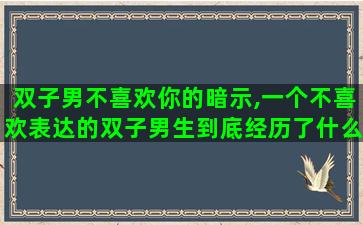 双子男不喜欢你的暗示,一个不喜欢表达的双子男生到底经历了什么 双子男不喜欢你的暗示,一个不喜欢表达的双子男生到底经历了什么
