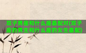 双子男座和什么座最配对(双子座的男生和什么座的女生最配)