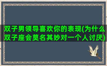双子男领导喜欢你的表现(为什么双子座会莫名其妙对一个人讨厌)