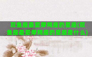 双鱼座最爱摩羯座的星座(双鱼座最爱摩羯座的星座是什么)