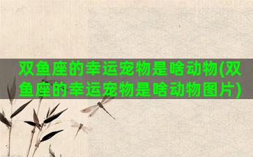 双鱼座的幸运宠物是啥动物(双鱼座的幸运宠物是啥动物图片)