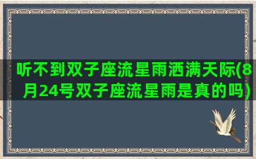 听不到双子座流星雨洒满天际(8月24号双子座流星雨是真的吗)