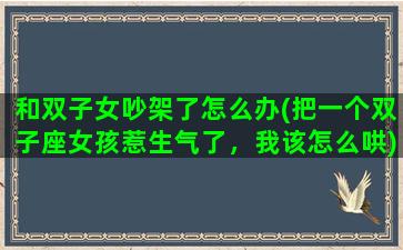 和双子女吵架了怎么办(把一个双子座女孩惹生气了，我该怎么哄)