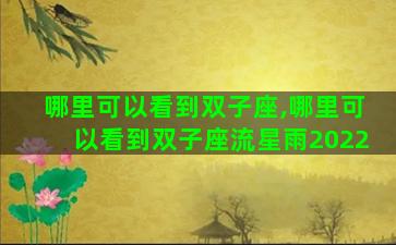 哪里可以看到双子座,哪里可以看到双子座流星雨2022
