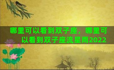 哪里可以看到双子座，哪里可以看到双子座流星雨2022