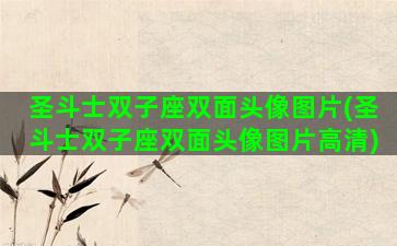 圣斗士双子座双面头像图片(圣斗士双子座双面头像图片高清)