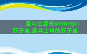 圣斗士星矢ω双子座,圣斗士中的双子座