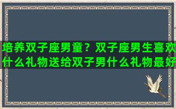 培养双子座男童？双子座男生喜欢什么礼物送给双子男什么礼物最好