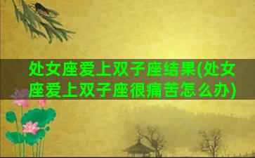 处女座爱上双子座结果(处女座爱上双子座很痛苦怎么办)