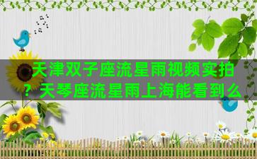 天津双子座流星雨视频实拍？天琴座流星雨上海能看到么