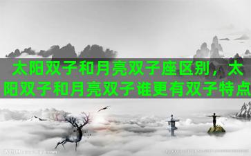 太阳双子和月亮双子座区别，太阳双子和月亮双子谁更有双子特点
