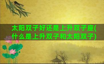 太阳双子好还是上升双子座(什么是上升双子和太阳双子)