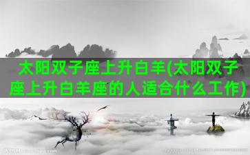 太阳双子座上升白羊(太阳双子座上升白羊座的人适合什么工作)