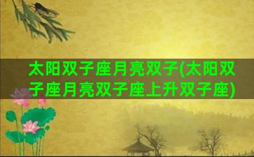 太阳双子座月亮双子(太阳双子座月亮双子座上升双子座)