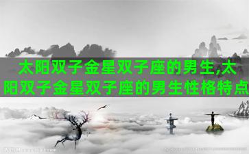 太阳双子金星双子座的男生,太阳双子金星双子座的男生性格特点