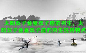 太阳双子金星双子座的男生，太阳双子金星双子座的男生性格特点