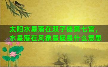 太阳水星落在双子座第七宫，水星落在风象星座是什么意思