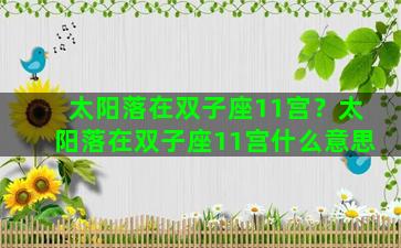 太阳落在双子座11宫？太阳落在双子座11宫什么意思