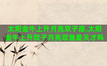 太阳金牛上升月亮双子座,太阳金牛上升双子月亮双鱼是天才吗