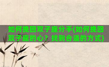如何挽回双子座分手(如何挽回双子座的心？找到合适的方式)