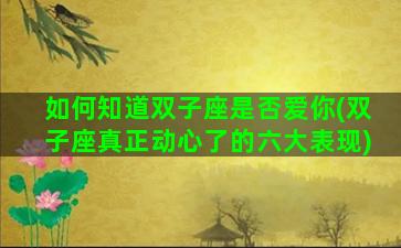如何知道双子座是否爱你(双子座真正动心了的六大表现)
