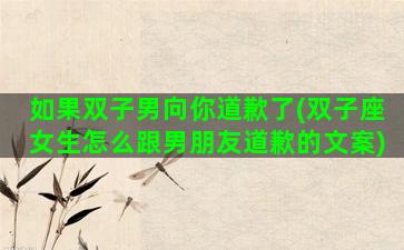 如果双子男向你道歉了(双子座女生怎么跟男朋友道歉的文案)