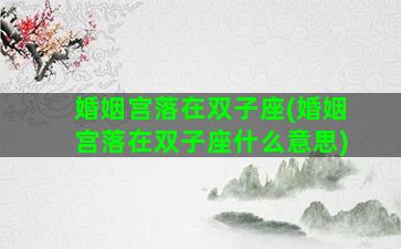 婚姻宫落在双子座(婚姻宫落在双子座什么意思)