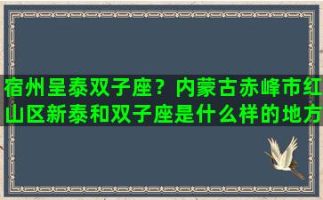 宿州呈泰双子座？内蒙古赤峰市红山区新泰和双子座是什么样的地方