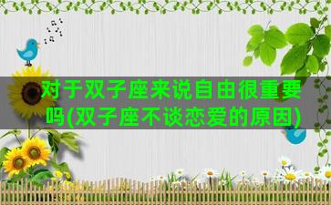 对于双子座来说自由很重要吗(双子座不谈恋爱的原因)