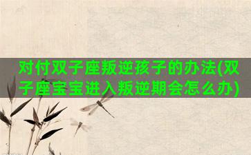 对付双子座叛逆孩子的办法(双子座宝宝进入叛逆期会怎么办)