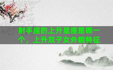 射手座的上升星座是哪一个，上升双子女外貌特征